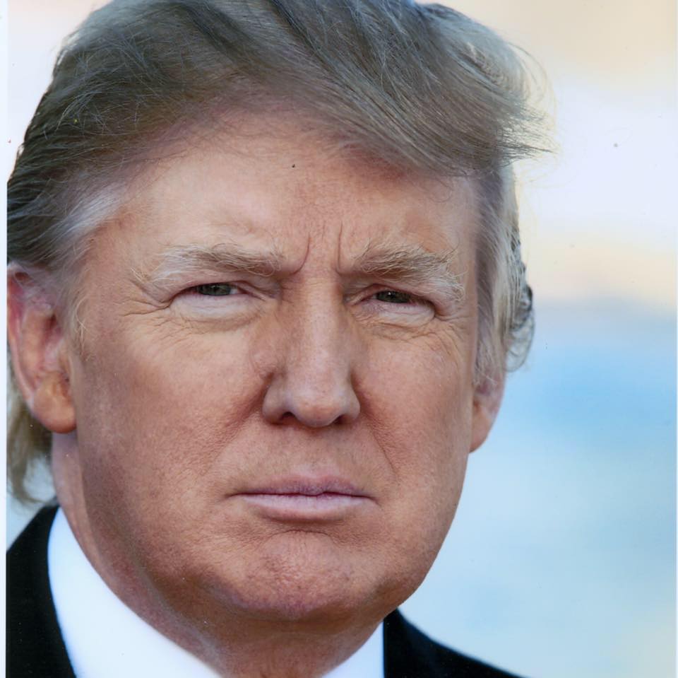 Donald Trump Donald Trump picture